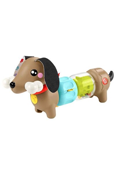 FISHER PRICE Zábavné aktivity so šteniatkami Htw91