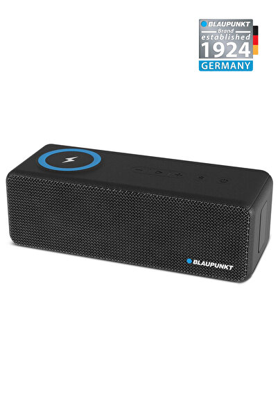 Blaupunkt LS250 Bluetooth Kablosuz Şarj Standlı Hoparlör Ses Bombası Siyah