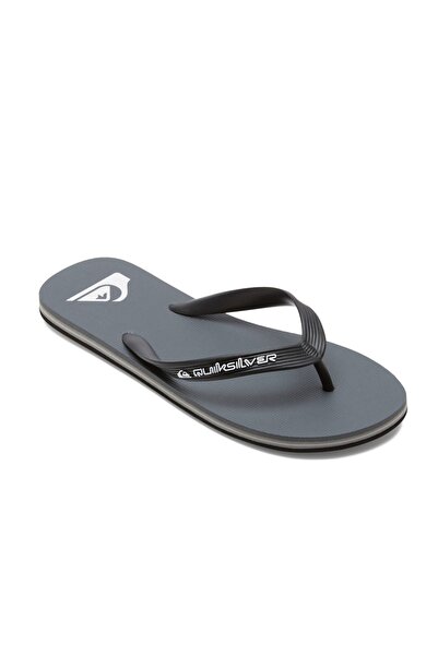 Quiksilver MOLOKAI CORE AQYL101325-SYJ1 Γκρι