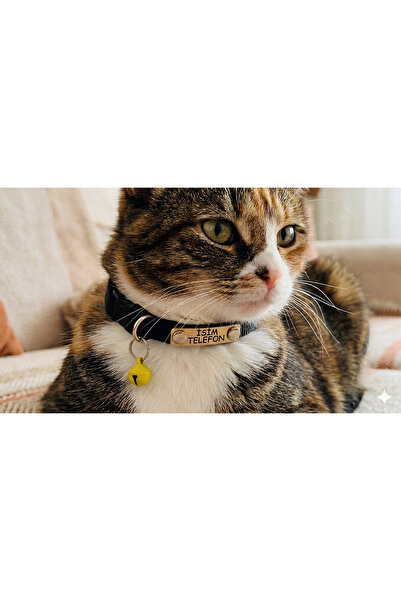 Kedi Tasması, Isimlikli Kedi Tasması, Kedi Künye Tasma, Kaybolursam Ara Tasma