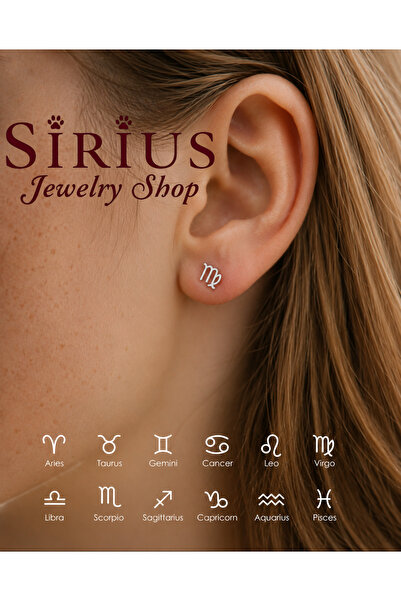 sirius jewelry 925 Gümüş | Burç Küpe