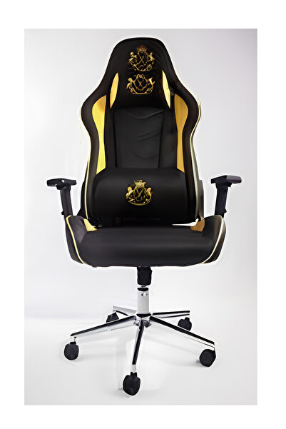Savita Home Ergonomik Oyuncu Koltuğu | Yüksek Sırtlı Gaming Sandalye | Ayarla...
