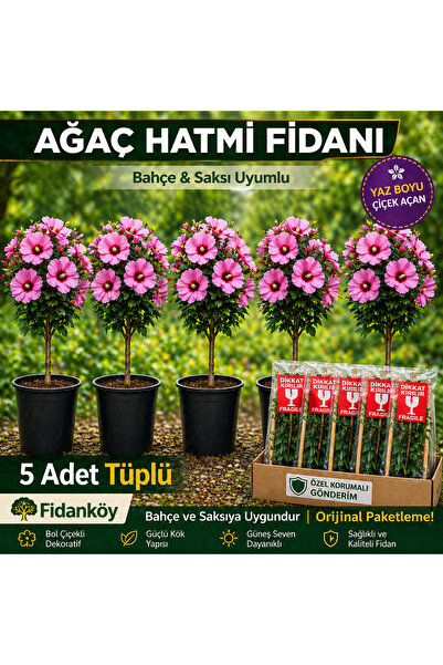 FİDANKÖY Ağaç hatmi fidanı 5 adet tüplü