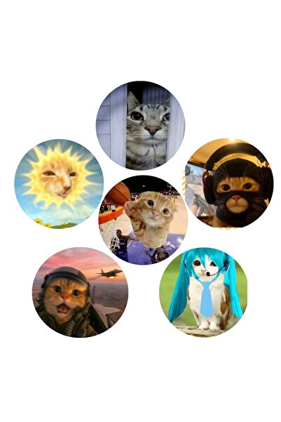Fivy 6’lı Sarkastik Komik Kedi Rozet Seti 4