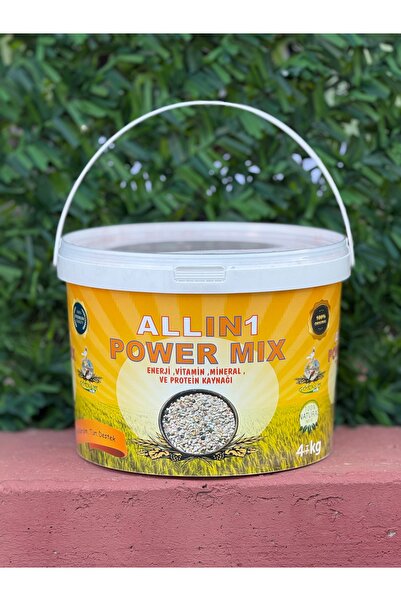 Görkem ALLın 1 Power Mıx MineraL 4 Kg
