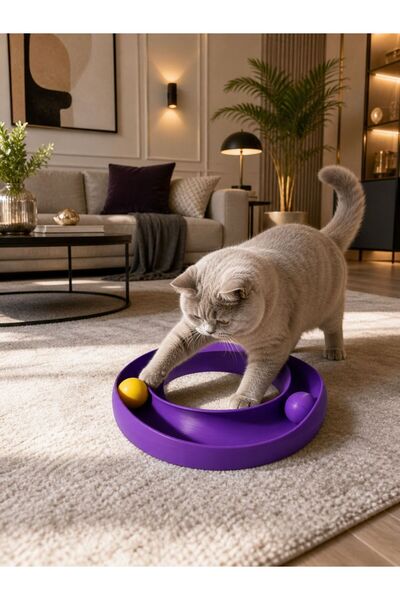 Kedi Oyuncağı Kedi Aksesuarı