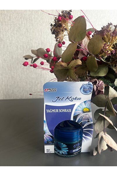 Deepen auto AFTER RAİN (yağmur sonrası) kokulu oto araç ve oda jel kokusu 1 adet
