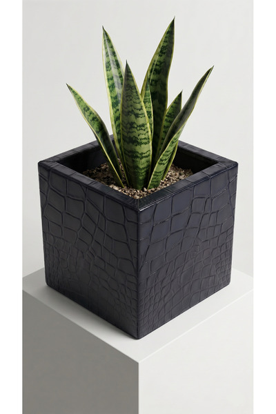 Desen Dekorasyon Metal Üstü Deri Kaplı Küp Saksı 20x20x20 cm - Ev ve Ofis Mas...
