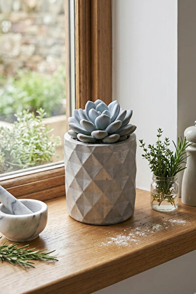 N NOXXO Gümüş Renk Dekoratif Beton Saksı - Mini Sukulent ve Kaktüs Saksısı 6x7cm