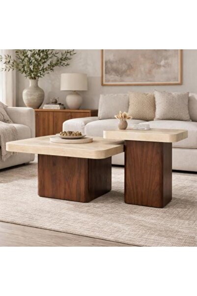 BAYTI Luxury wooden coffee table set