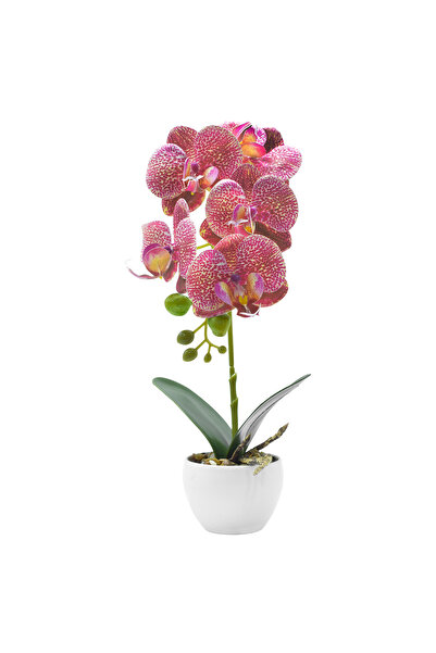 Naimeed Company Orhidee decorativă în ghiveci ceramic, 33 cm, Naimeed D4851, ...