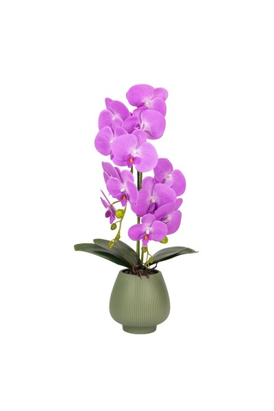 Naimeed Company -looking orchid in a ceramic pot, 80 cm, Naimeed D6906, Purpl...