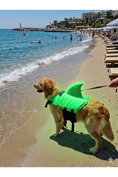 Pro Chem Köpek İçin Sırt Yüzgeçli Can Yeleği