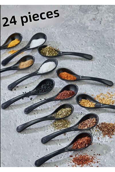FBZhome 24 Black Serving Spoons & Condiment Spoons - Breakfast Honey Spoon Su...