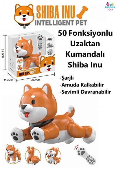 Brother Toys Uzaktan Kumandalı 50 Fonksiyon Akıllı Interaktif Öğretici Robot ...