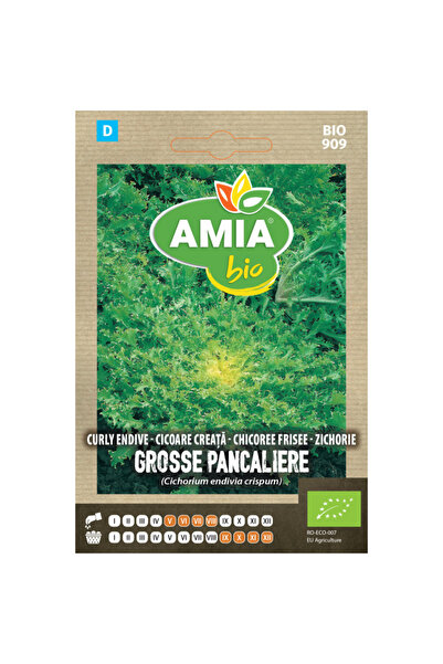 Amia Seminte bio de cicoare creata Grosse Pancaliere Race Alba, 1 g