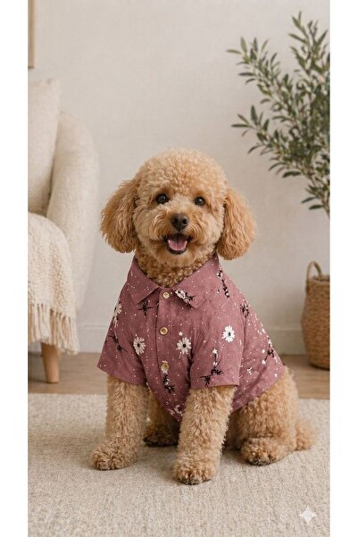PetiliDünya Flower Shirt New Cat Dog Shirt Outfit