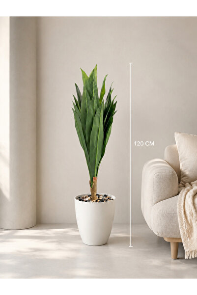 Rafef 120 cm Tall Drassena Tree with Stand