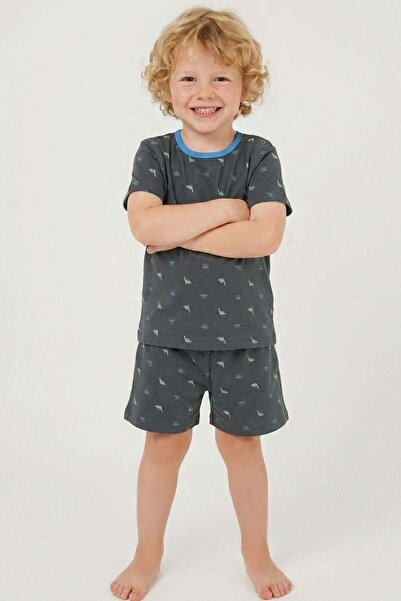 Breeze Baby Boy Shorts Pajama Set with Colorful Dinosaur Pattern, 9 Months-3 ...