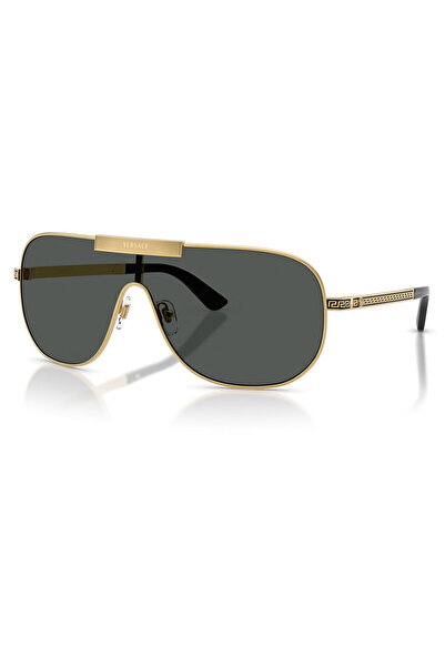 Versace Ve2293 100287 40 Men's Sunglasses