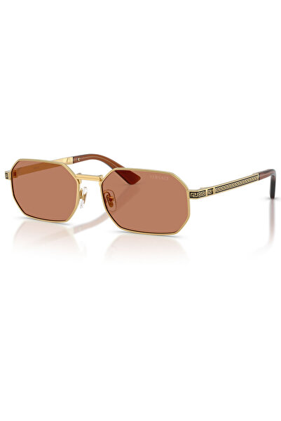 Versace Ve2297 100273 54 Men's Sunglasses