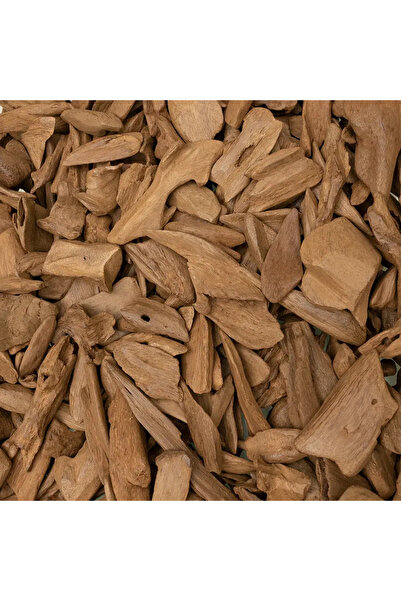 OEMS Oud Morouki Breaks the Silence - Tola