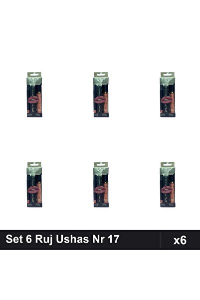 TLM Set of 6 Ushas Lipstick No. 17 + Lip Pencil, Gloss Professional Makeup