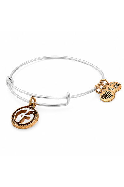 Alex and Ani Bratara Metal A18EBINT06TTR