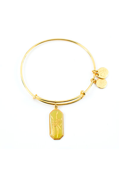 Alex and Ani Bratara Metal A14EB96YG