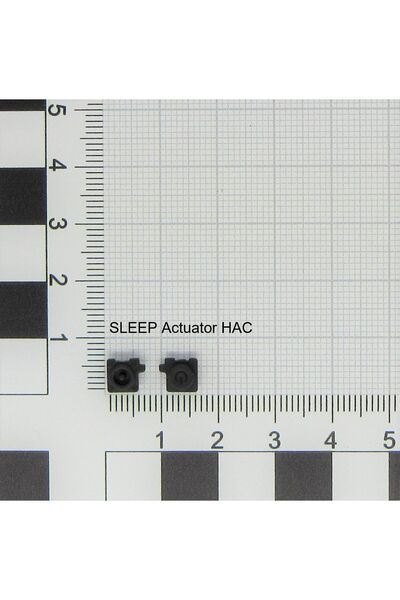 Nintendo ACT/SLEEP(K1) HAC