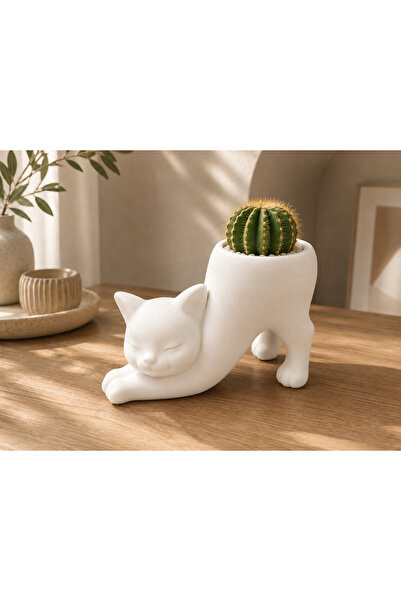 SYLVA CONCEPT Dekoratif Kedi Saksı – Modern Minimal Tasarım | Kaktüs ve Sukul...