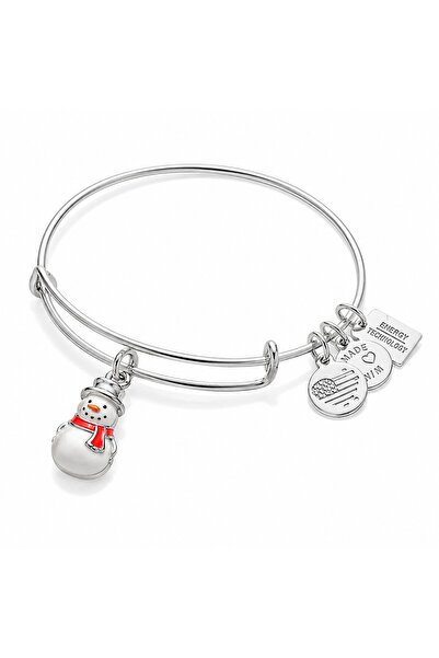 Alex and Ani ΓΥΝΑΙΚΕΙΟ ΒΡΑΧΙΟΛΙ A16EB91SS (20ΕΚ.)