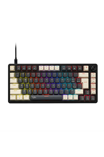 gameagle %65 RGB Kablolu Mekanik Gaming Klavye Mavi Switch Eva Süngerli Oyunc...