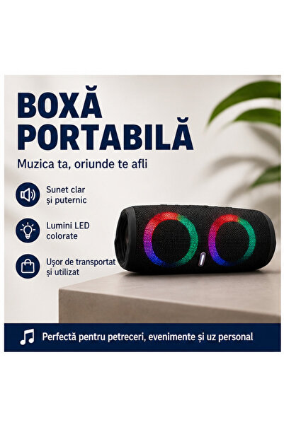 OEM Boxa Portabila