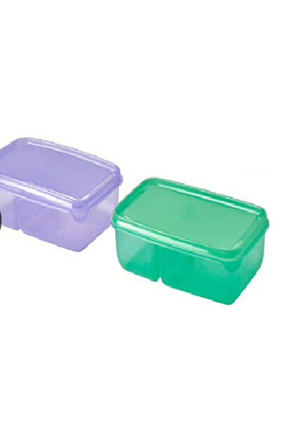 Pruta Sandwich Case with Lid, Purple/Green ‎ 22X14X5 cm ‏