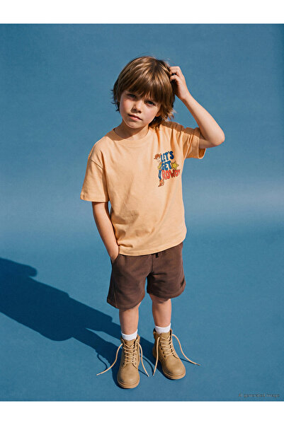 LC Waikiki Toy Story Printed Boys' T-Shirt