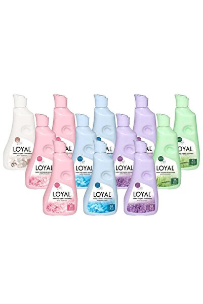 Loyal Fabric Softener and Freshener 5 Different Scents 750 ml 12 Boxes in a C...