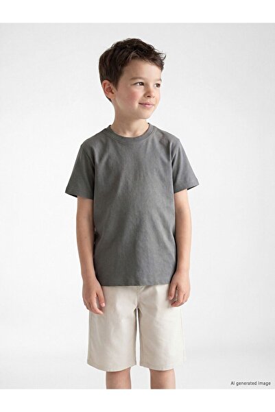 LC Waikiki Crew Neck Boy's T-Shirt