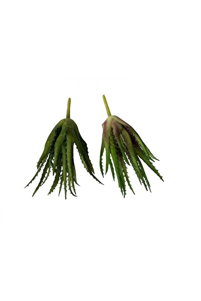 OEM Plante Suculente Artificiale Aloe Mare Verde Maro