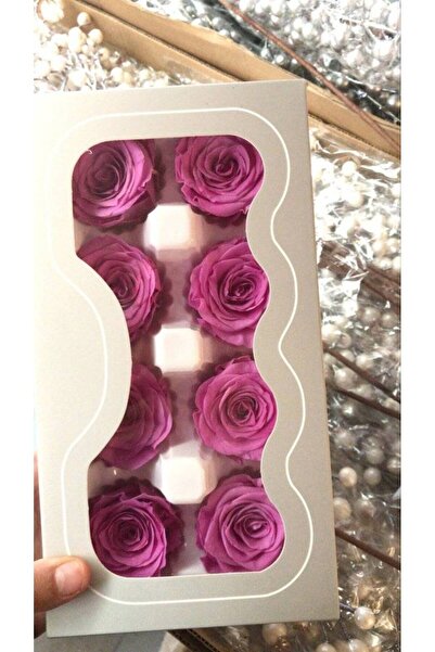OEM Trandafiri criogenati, 8 bucati/cutie, diametru 5 cm Roz