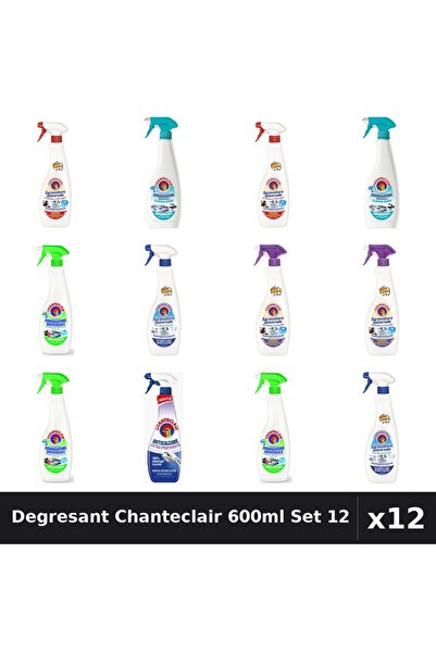 Chanteclair Set 12 Degresant Universal 600ml-625ml - 6 Arome Asortate Curatenie