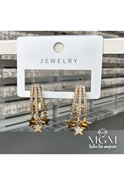 Marsilyan Nvdn- Ieg - Zircon Stone Star Detailed Earrings Iegrs-Nvdn1