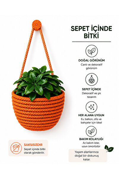 ÖRGÜM Yapay Çiçek Mini Sepetli Dekoratif Bitkili Mini Duvar Sepeti 10x10 Cm