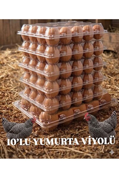 Saka Ambalaj PLASTİK 10'LU YUMURTA VİYOLÜ ŞEFFAF SIZDIRMAZ KAPAKLI (50 ADET)