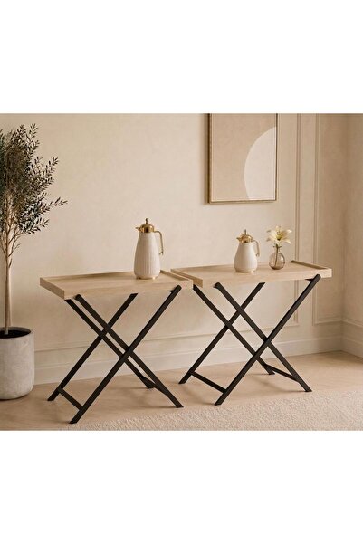 Generic Serving Table Set, 90*35*100 /90*35*80