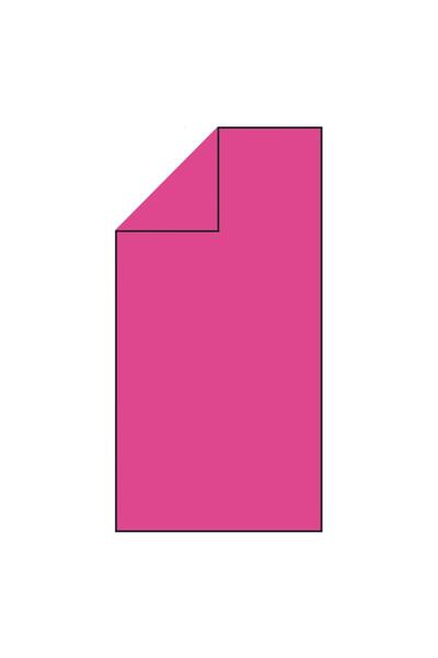 SERSIMO Prosop sport cu microfibră cu uscare rapidă, 100x180 cm, roz