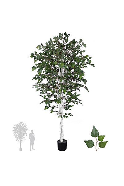 Roberto Rossi Artificial tree H240cm White Birch with 2020 leaves