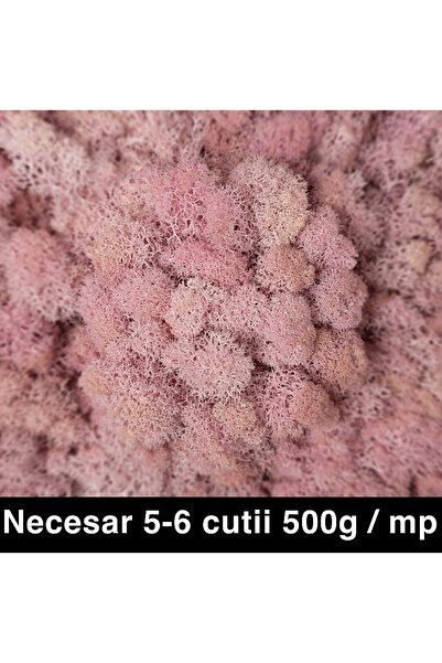 Roberto Rossi Preserved lichens, cleaned and without roots, 500g NET, ULTRA P...