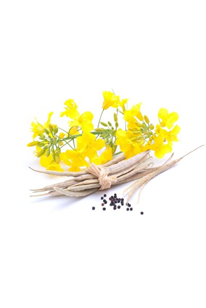 Herbstore.gr Κραμβέλαιο (Canola Oil) ΒΙΟ - 500ml