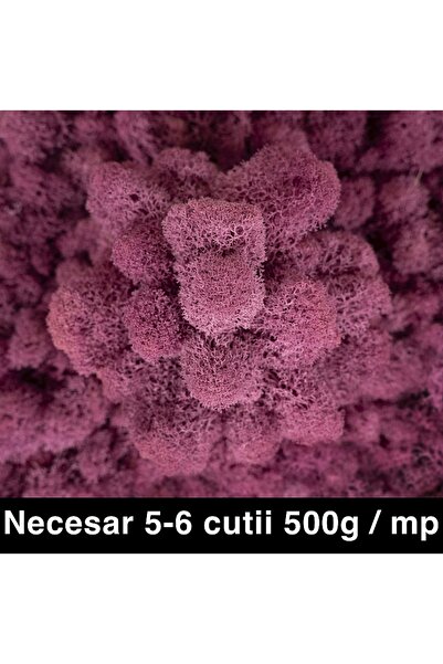 Roberto Rossi Licheni curatati si fara radacina conservati 500g NET, calitate...